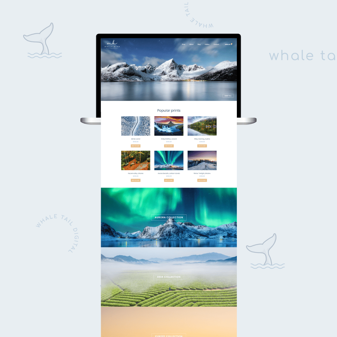 whale tail digital wordpress template molly 02