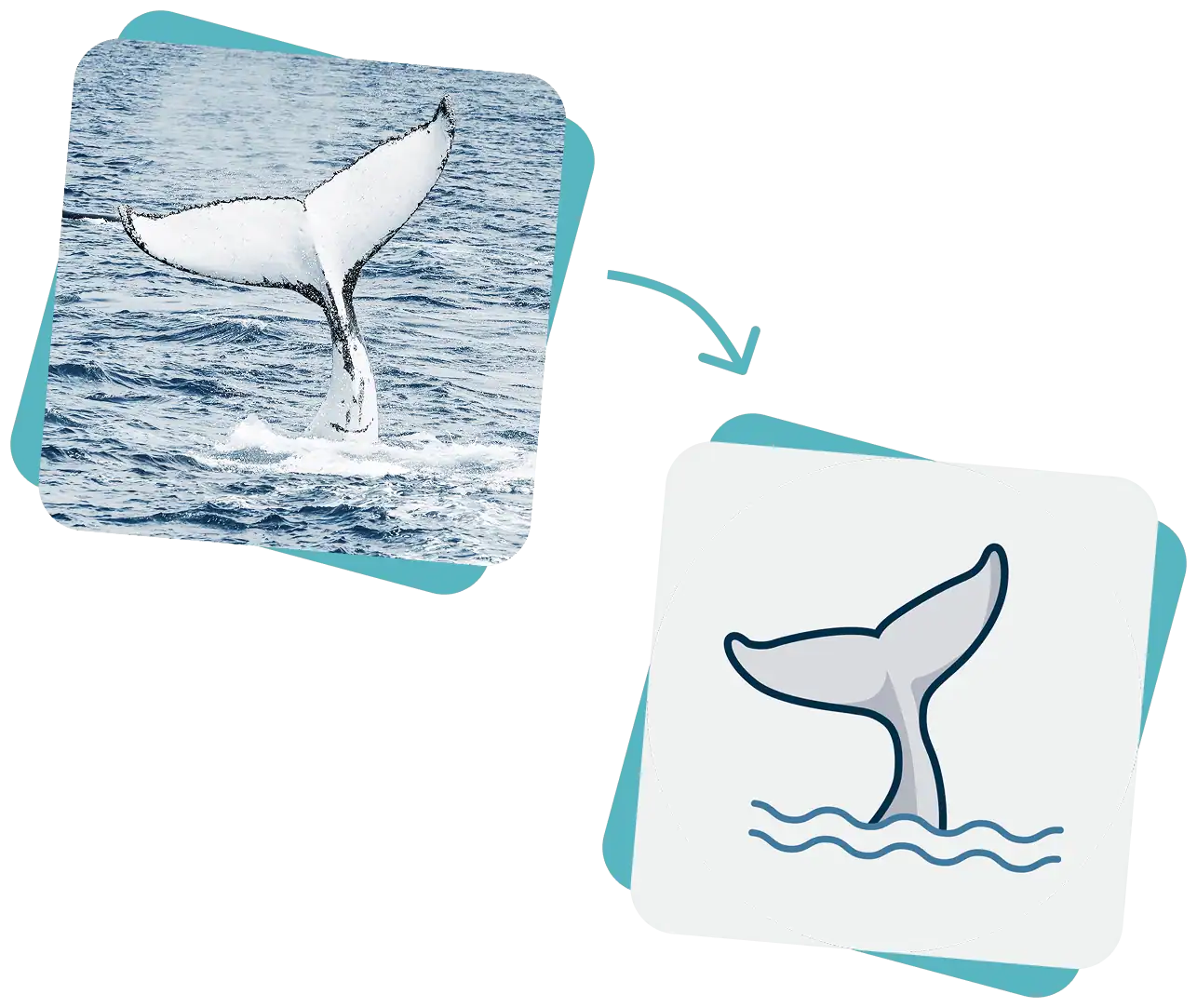 A photo of a whale’s tail in the ocean is shown next to a simple drawing of a whale’s tail above stylised waves.