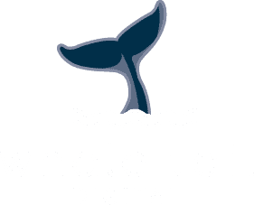 A stylised blue whale tail emerging from water above the text "whale tail DIGITAL" on a light background.