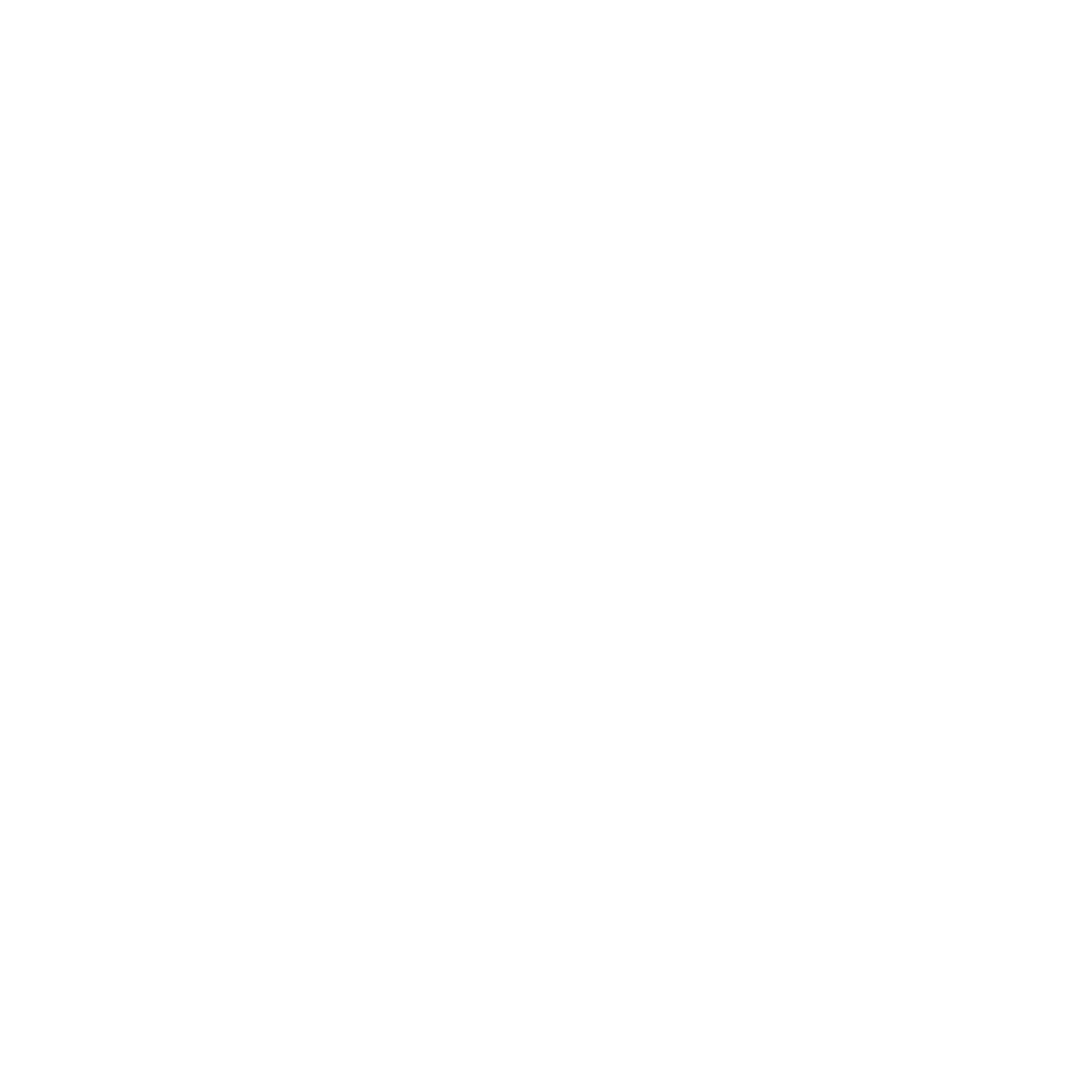 A white cloud network icon inside a white circle on a light grey background, reflecting the clean and modern style of Whale Tail Digital's bespoke sustainable websites.
